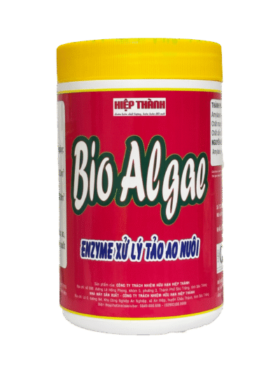 bio-algae-xu-ly-tao