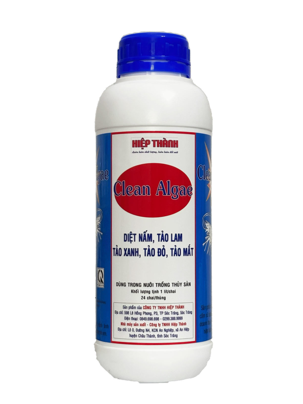 clean-algae-diet-tao