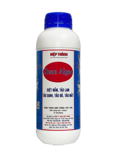 clean-algae-diet-tao
