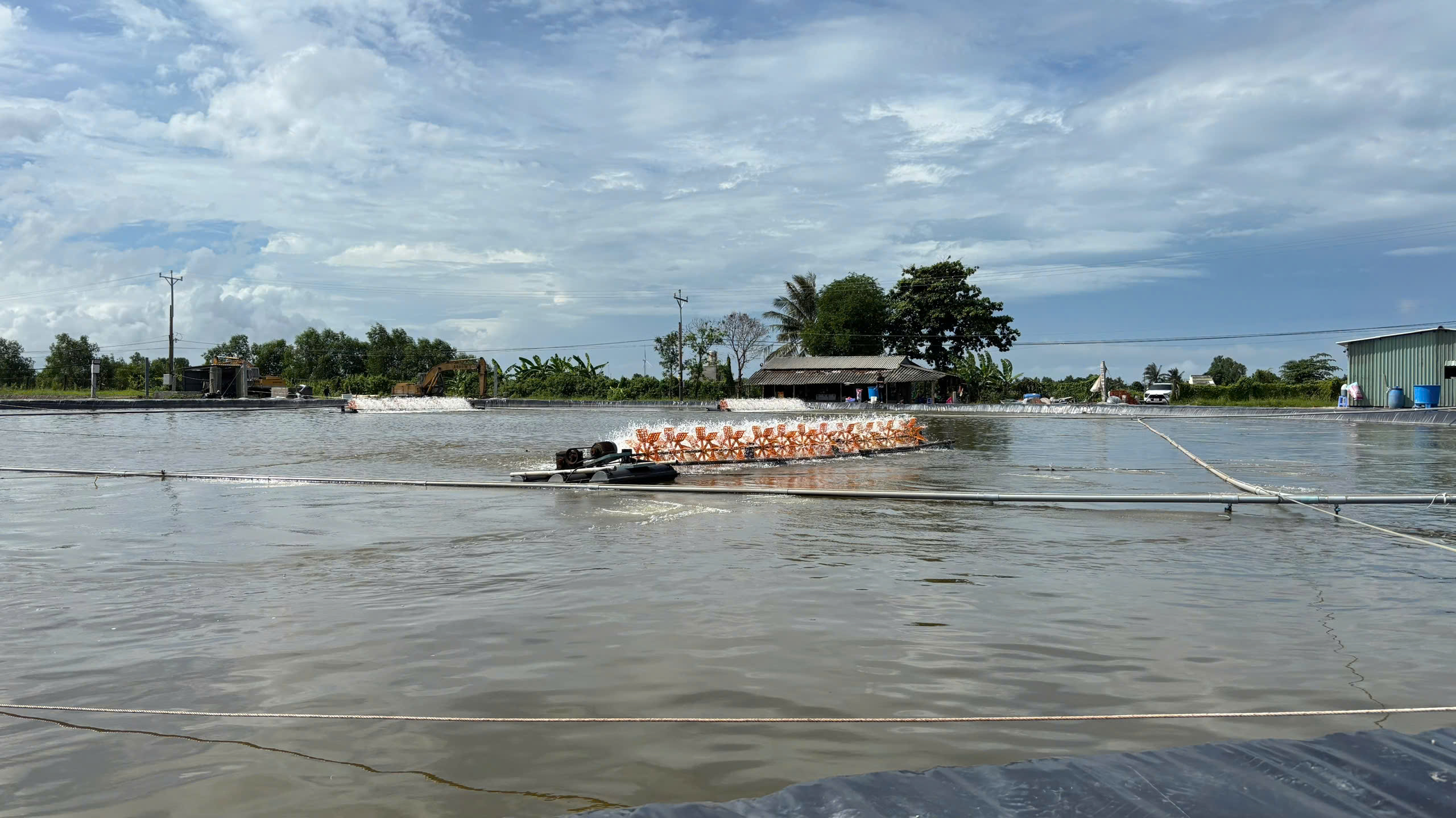 ao-nuoi-tom-thuc-te